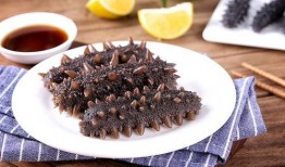 烟台海参爆料视频大全图片,视频大全图片解析行业真相